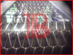 Balanced Weave Conveyor Belt - BW14